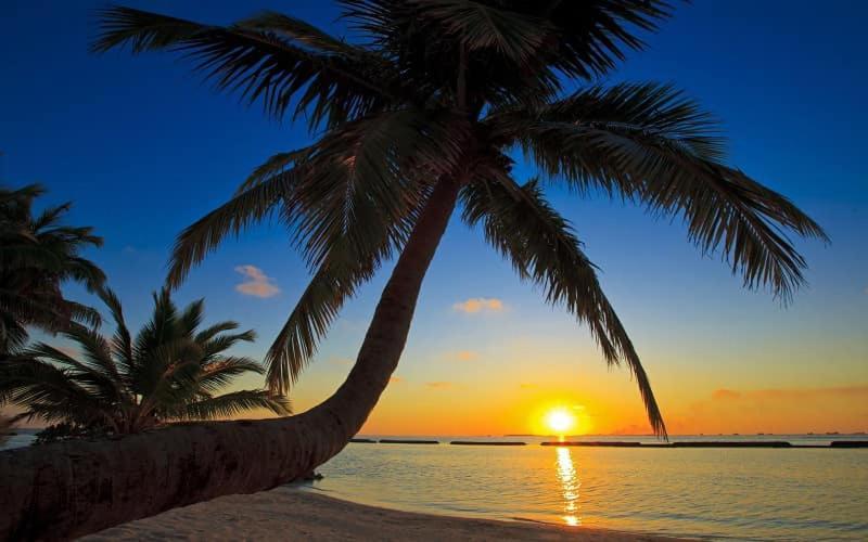 Elene Phu Quoc Hotell Exteriör bild